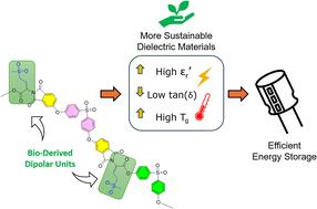Poly(ether-imide-ester)s incorporating sulfur-containing amino acids: a first step toward more sustainable high-dielectric polymer materials