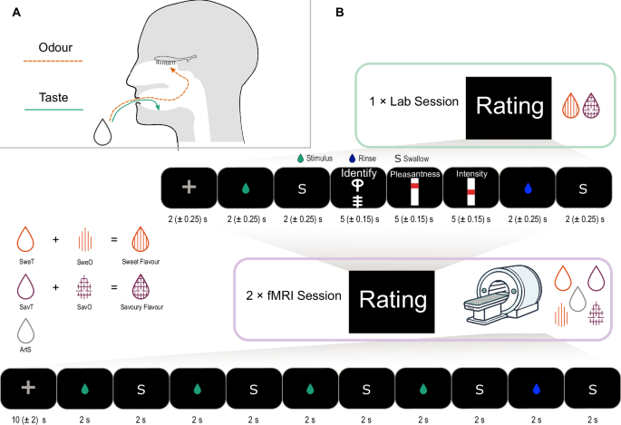 Tastes and retronasal odours evoke a shared flavour-specific neural code in the human insula
