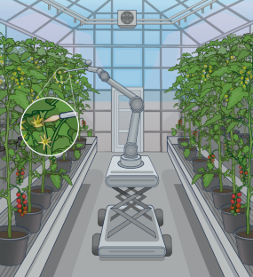 Co-designing biology and technology unlocks automated plant breeding