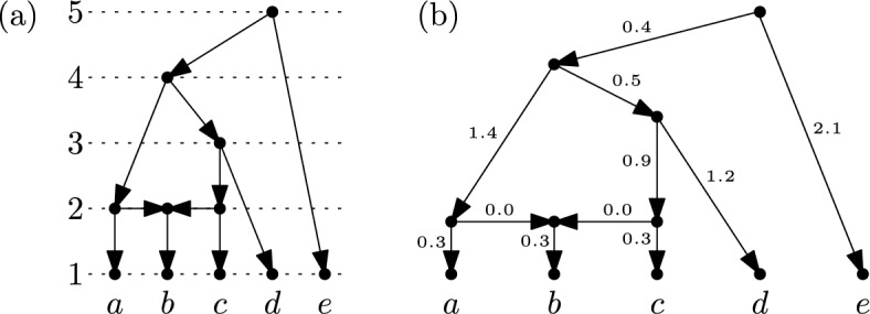 Spaces of ranked tree-child networks.