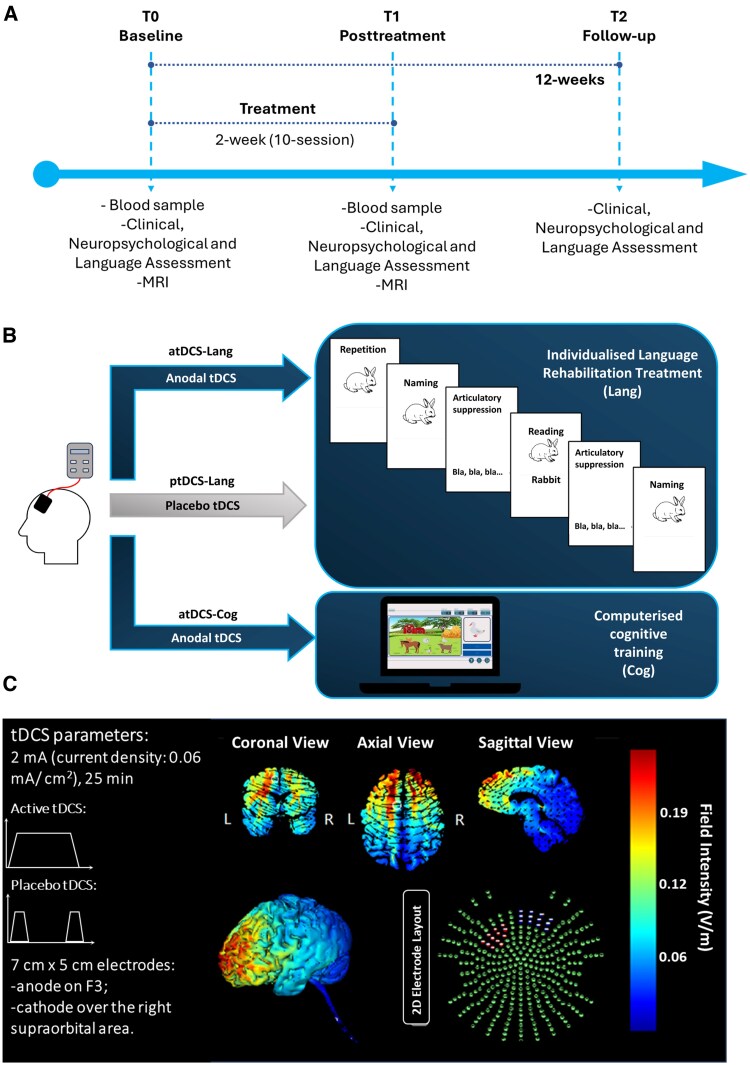 A multi-modal approach for the treatment of non-fluent/agrammatic variant of Primary Progressive Aphasia.