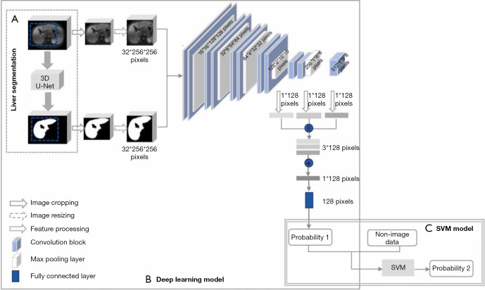 Deep learning-based automated assessment of hepatic fibrosis via magnetic resonance images and nonimage data.
