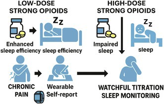 Sleep Quality in Chronic Pain Patients With and Without Strong Opioid Use: An Observational Study Using a Wearable Device.