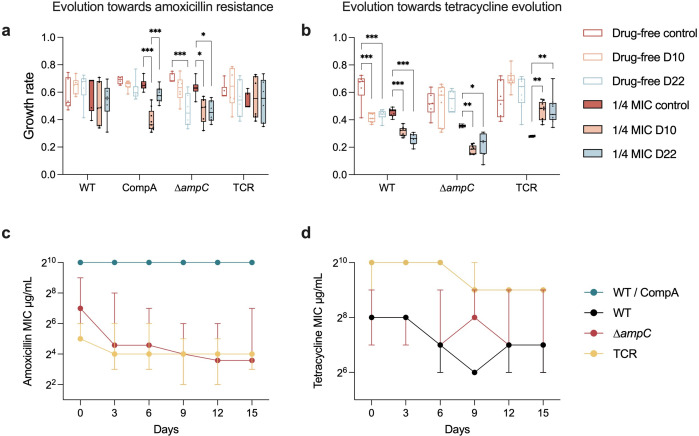 Driving factors for beta-lactam resistance gene amplification during <i>de novo</i> resistance evolution in <i>E. coli</i>.