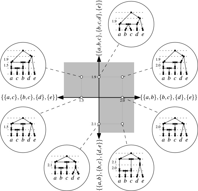 Spaces of ranked tree-child networks.