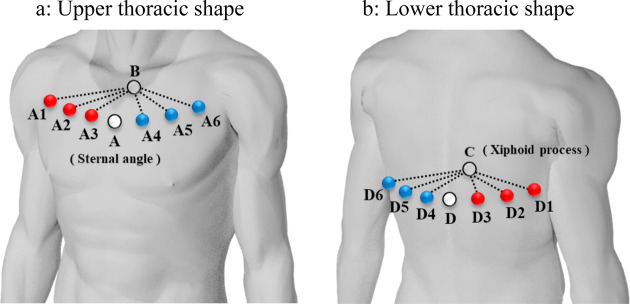 Trajectory and asymmetry of lower limb joint moments during normal and blindfolded gait.