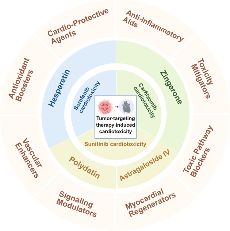 Natural Products From Traditional Chinese Medicine: Potential Therapeutic Agents in Cancer Therapy-Induced Cardiotoxicity.