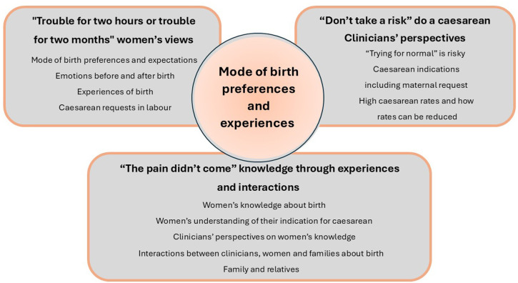 Women and clinicians' views, preferences and experiences of caesarean section and vaginal birth in India: a qualitative substudy of the 'Misoprostol or Oxytocin for Labour Induction' (MOLI) trial.