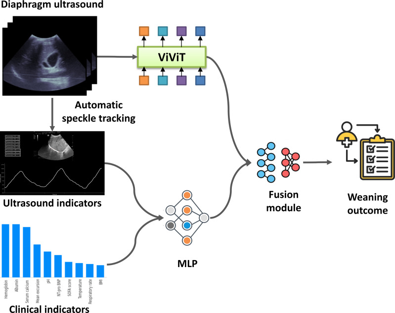 AI Model Based on Diaphragm Ultrasound to Improve the Predictive Performance of Invasive Mechanical Ventilation Weaning: Prospective Cohort Study.