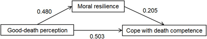 Mediating effect of moral resilience between good-death perception and coping with death competence of ICU nurses: a cross-sectional study.