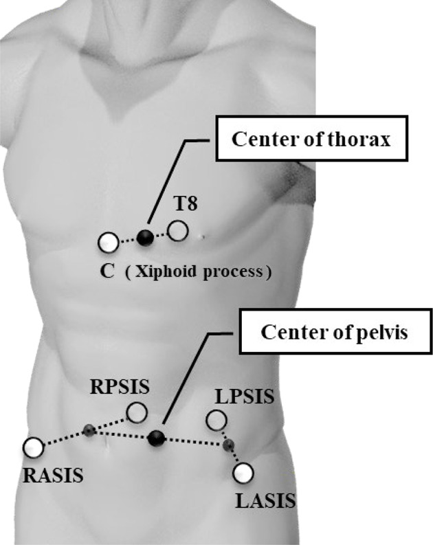 Trajectory and asymmetry of lower limb joint moments during normal and blindfolded gait.