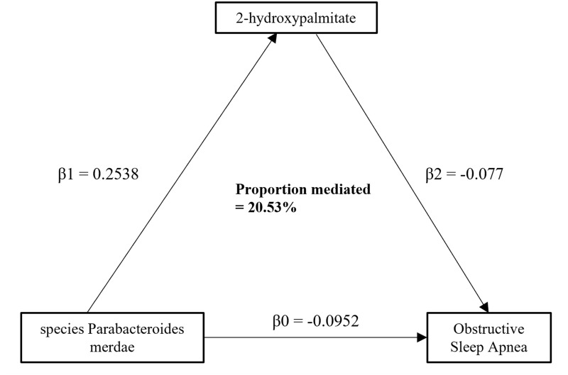 The Role of Plasma Metabolites in Mediating the Effect of Gut Microbiota on Obstructive Sleep Apnea: A Two-Step, Two-Sample Mendelian Randomization Study.