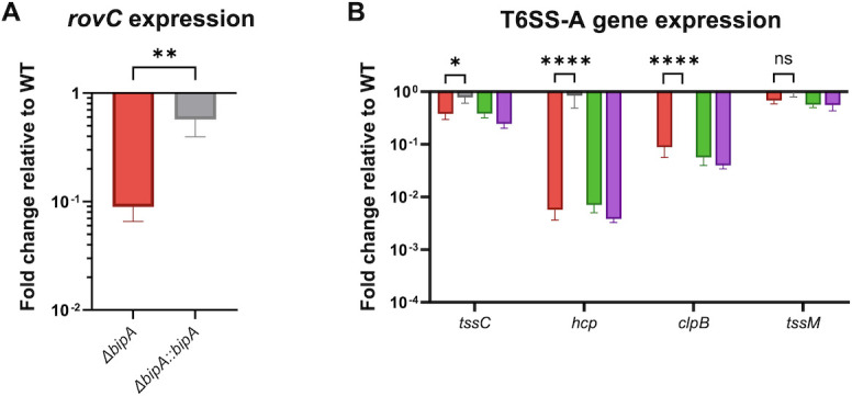 <i>Yersinia pestis</i> BipA is a novel regulator of pesticin and a type 6 secretion system.