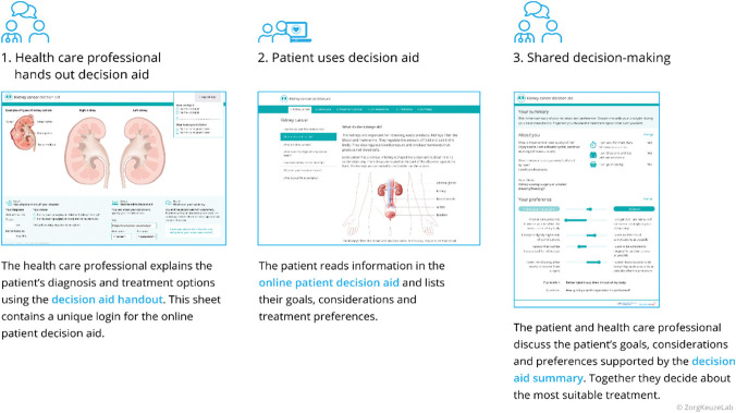 Development of a Patient Decision Aid for cT1 Renal Masses: A User-Centered Mixed-Methods Study.