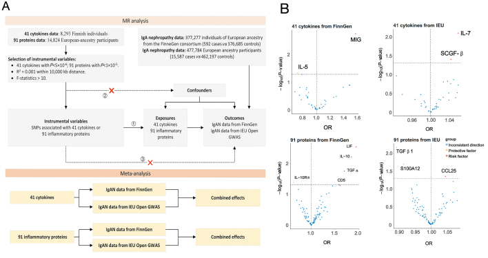 Causal role of circulating inflammatory cytokines in the pathogenesis of IgA nephropathy.