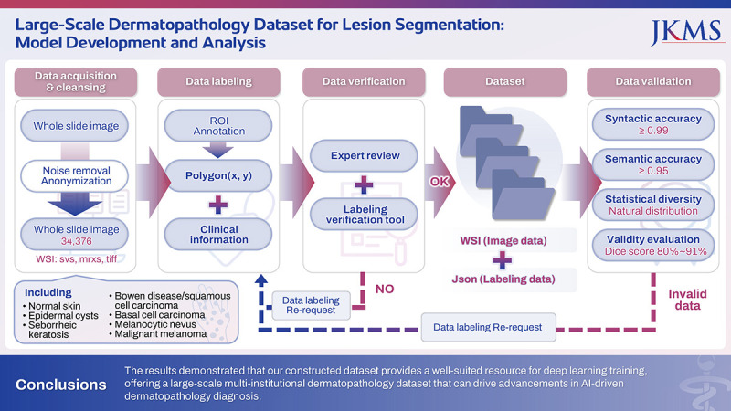 Large-Scale Dermatopathology Dataset for Lesion Segmentation: Model Development and Analysis.