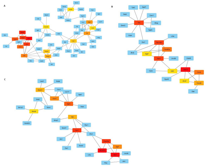 Comparison of transcriptome profiles of radiotherapy beams on MCF-7 breast cancer xenografts.