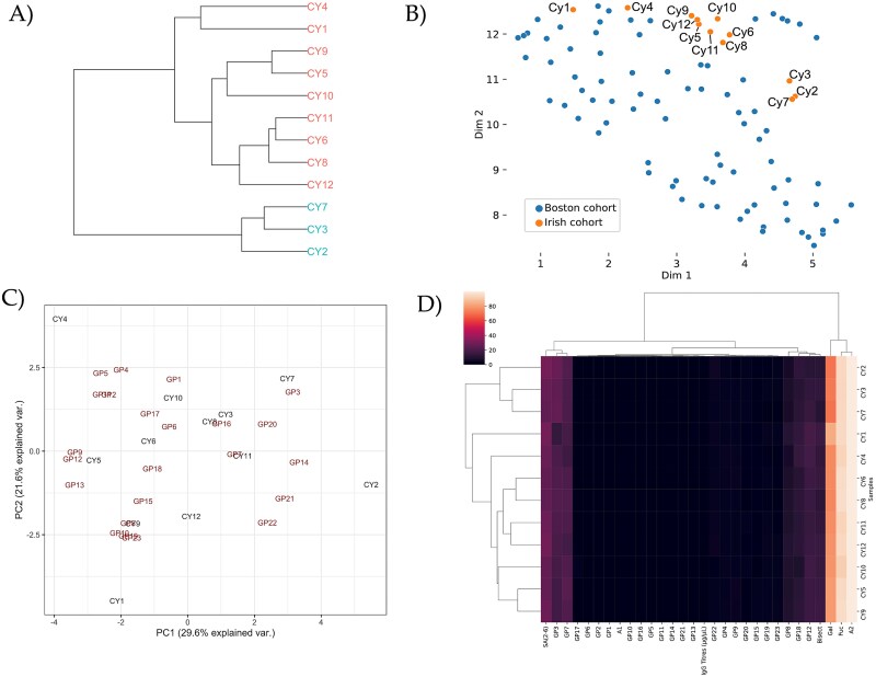 Serum N-glycosylation is altered in Nephropathic Cystinosis.