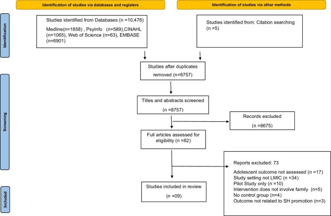 Family-based sexual health interventions for adolescents in low- and middle-income countries: systematic analysis and meta-analysis.