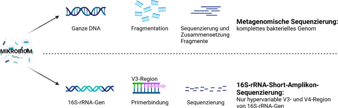 [Principles of microbiome research].