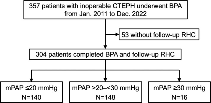 Clinical impact of mean pulmonary arterial pressure after balloon pulmonary angioplasty for inoperable chronic thromboembolic pulmonary hypertension.