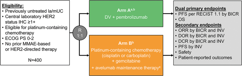 SGNDV-001: disitamab vedotin with pembrolizumab in HER2-expressing locally advanced or metastatic urothelial carcinoma.