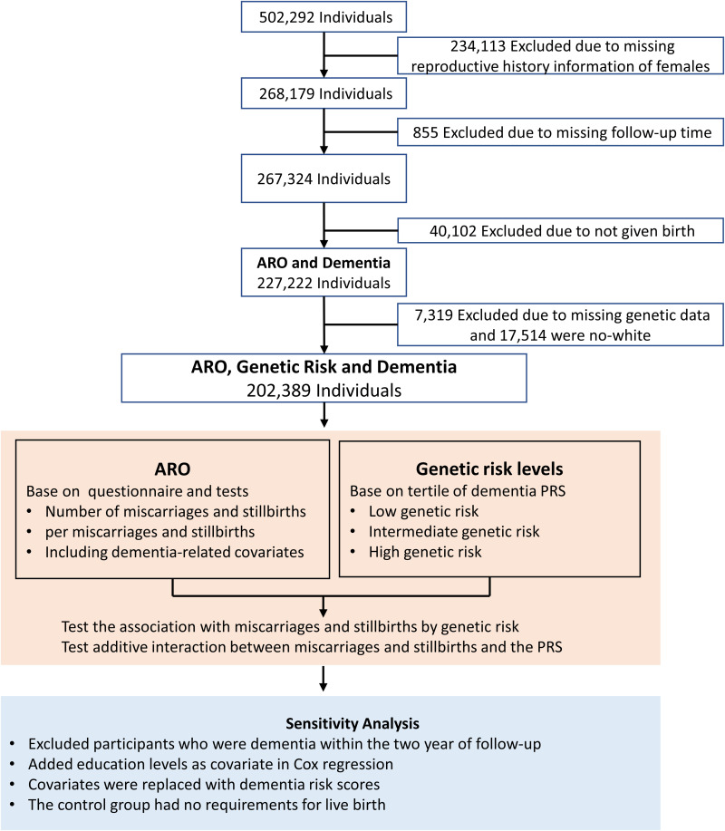 Adverse reproductive outcomes and future risk of incident dementia: The modifying effect of genetic susceptibility.