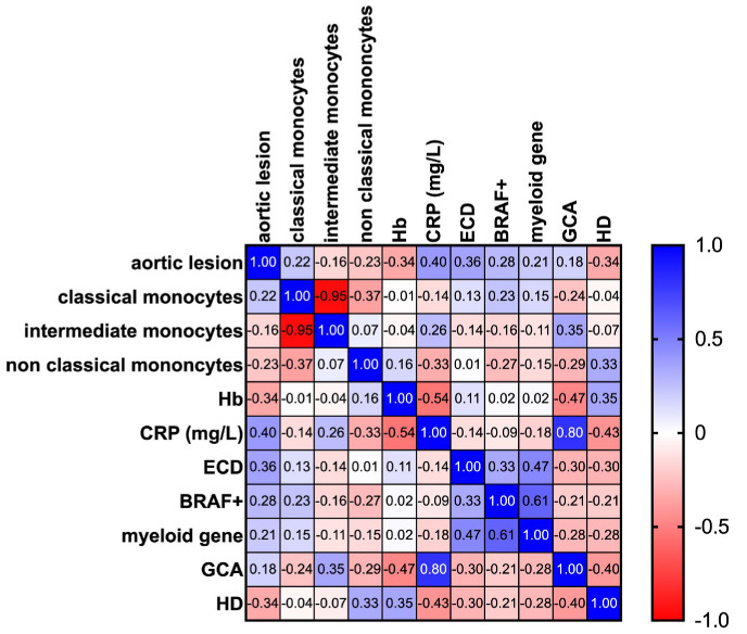 MAP-kinase mutations and aortic lesions are associated with distribution of circulating monocytes in histiocytosis.