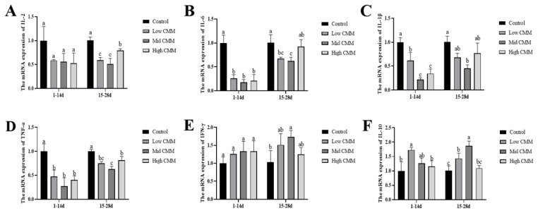 Effects of Cordyceps militaris solid medium on the growth performance, immunity parameters and intestinal health of broilers.