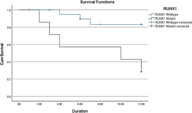 RUNX1 alterations and survival outcomes in AML: leukocyte dynamics and thrombocytosis insights from an Indonesian cohort.