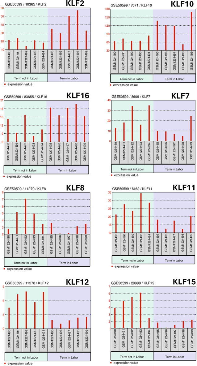 Unveiling myometrial SP/Krüppel-like factors as drivers of parturition: insights from transcriptional and endocrine regulatory networks.