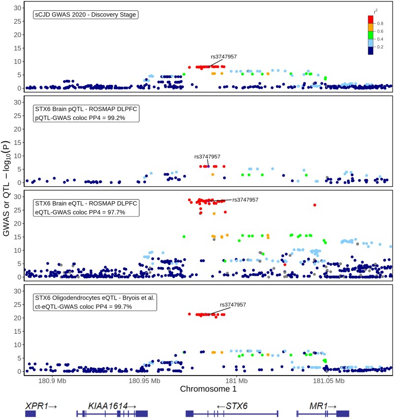 Multiomic analyses direct hypotheses for Creutzfeldt-Jakob disease risk genes.