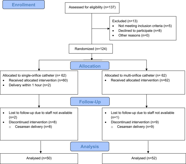 Effect of Epidural Catheter Design on Analgesic Efficacy During Programmed Intermittent Epidural Boluses: A Randomized Double-Blinded Controlled Trial.