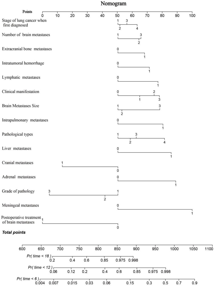 Multicenter Development of a Clinical-Molecular Nomogram for Predicting Survival in Lung Cancer Brain Metastasis Patients.