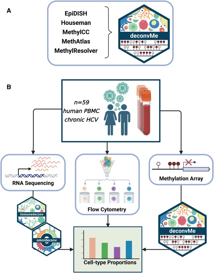 Unifying DNA methylation-based <i>in silico</i> cell-type deconvolution with <i>deconvMe</i>.