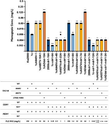 Mutations in transcription factors that confer fluconazole resistance also confer reduced susceptibility to manogepix in <i>Candida auris</i> (<i>Candidozyma auris</i>), <i>Candida albicans</i>, <i>Candida parapsilosis</i>, and <i>Candida glabrata</i> (<i>Nakaseomyces glabratus</i>).