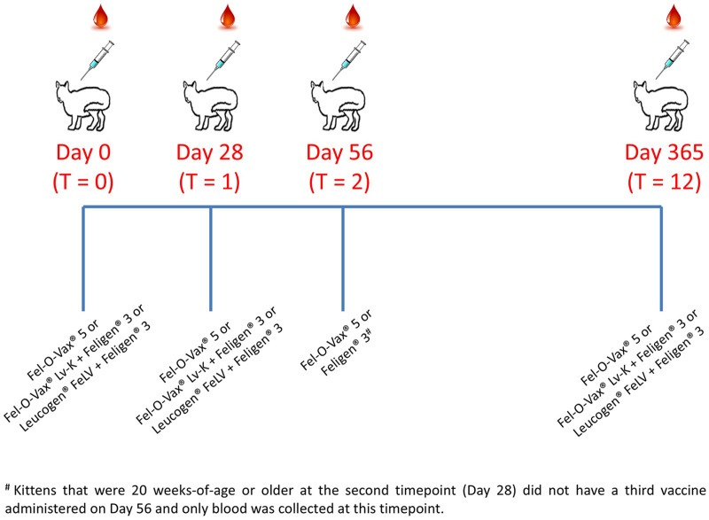 Antibody responses to feline leukaemia vaccination: exploring the effect of sex, boosting schedule, site of administration and vaccine type.