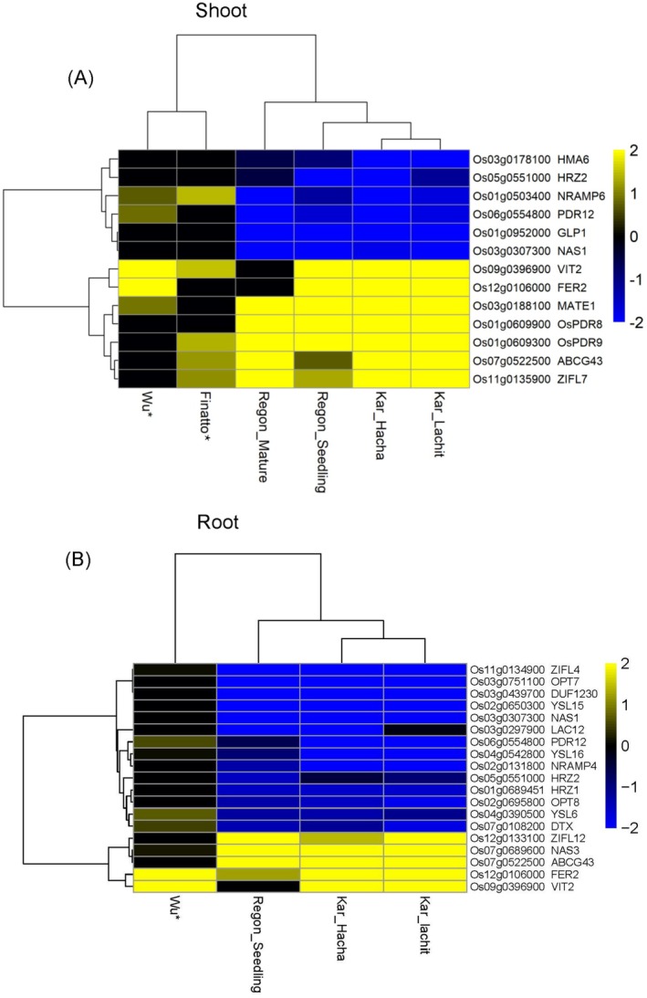 Meta-Analysis of Iron Excess Stress in Rice: Genes and Mechanisms of Tolerance to Acidic Soil.
