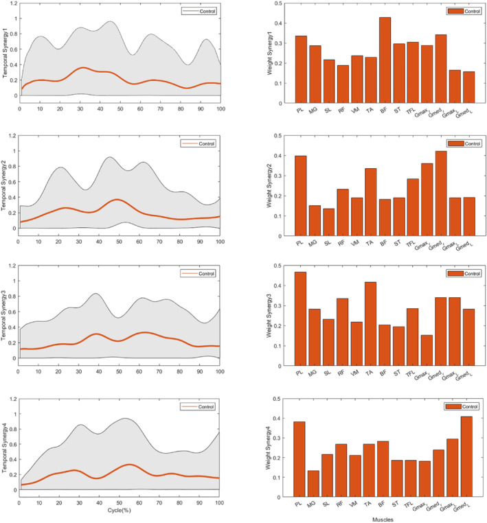 Muscle Synergies of the Lower Extremities During Gait Initiation in Individuals With and Without Chronic Ankle Instability.