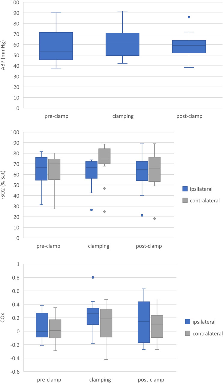 Non-invasive cerebral autoregulation monitoring during paediatric cardiac surgery without cardiopulmonary bypass requiring intraoperative cross-clamping of one of the carotid arteries.