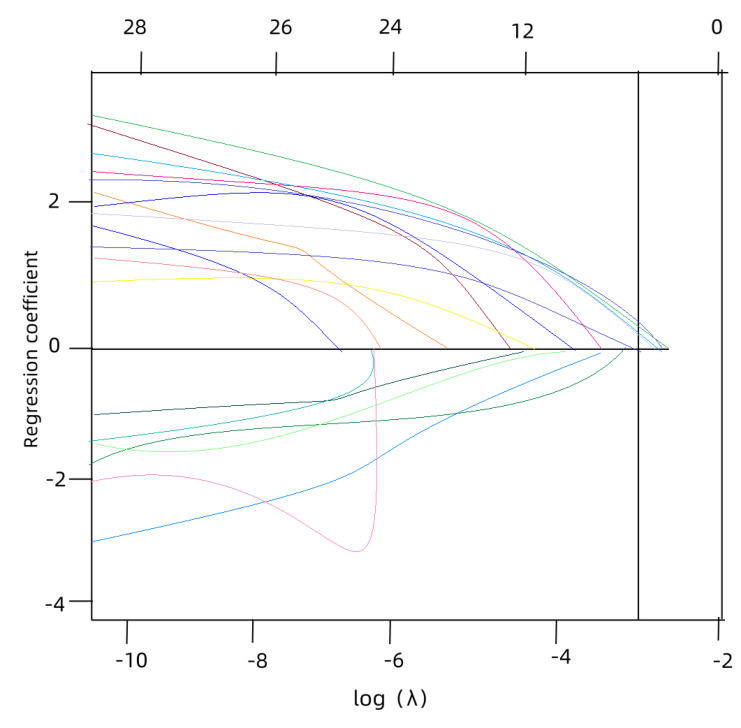 LASSO Logistic Regression was Used to Analyze the Risk Factors for Cauda Equina Injury Secondary to Lumbar Spinal Stenosis and to Build a Risk Model.