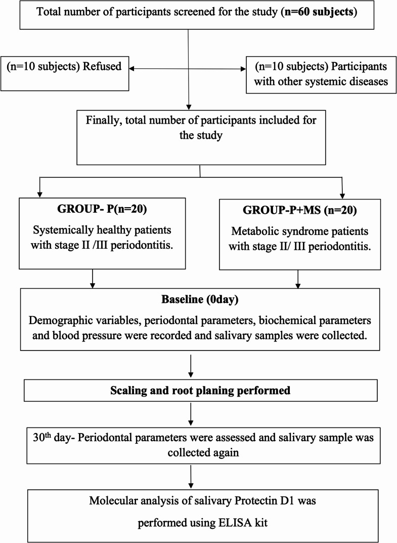 Estimation of salivary protectin D1 in periodontitis patients with metabolic syndrome following non-surgical periodontal therapy.