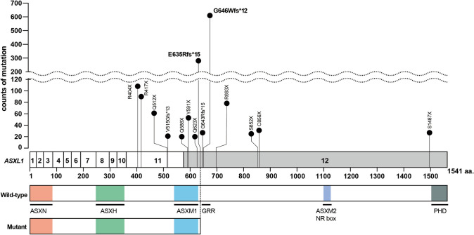 ASXL1 mutation-related clonal hematopoiesis and age-related diseases: clinical evidence and molecular insights.