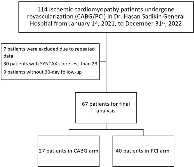 Association Between Revascularization and 30-Day Survival of Ischemic Cardiomyopathy Patients in Dr. Hasan Sadikin General Hospital.