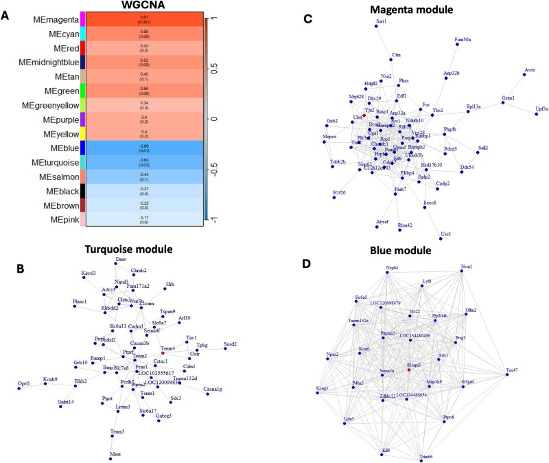 Stress-induced altered expression of hippocampal nuclear and mitochondrial encoded genes in rats and cross-species genetic associations reveal molecular links to depression.