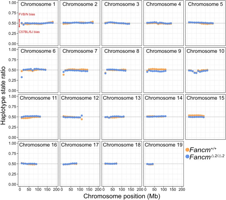A high-resolution meiotic crossover map from single-nucleus ATAC-seq reveals insights into the recombination landscape in mammals.