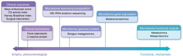 Emerging concepts and shifting paradigms for understanding the microbial basis of inflammatory bowel diseases.
