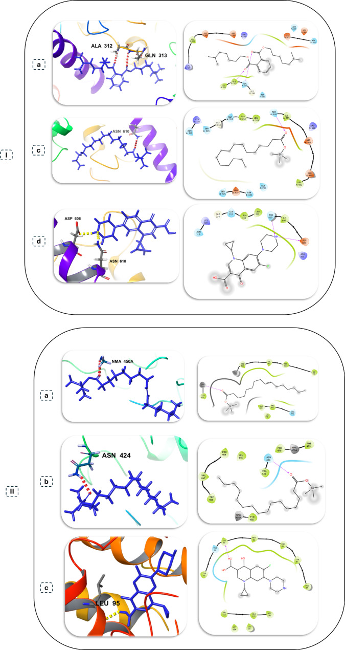 Epigenetic modulation of Ceratorhiza hydrophila by 5-azacytidine enhances antifungal metabolite production: insights from antimicrobial, metabolic, genomic and computational analyses.