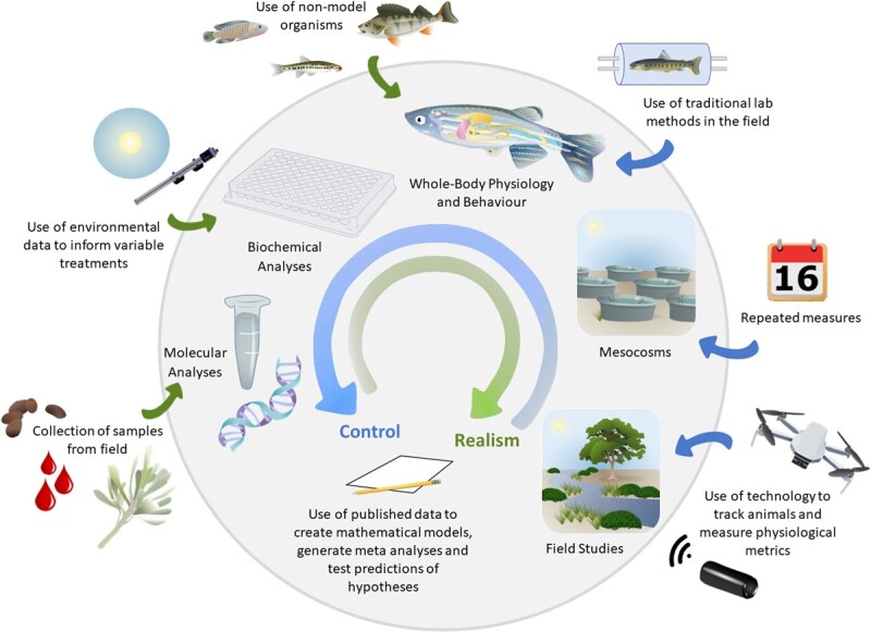 The lab-field continuum in conservation physiology research: leveraging multiple approaches to inform policy and practice.