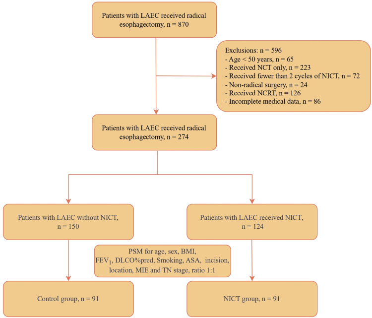 Effect of Neoadjuvant Immunochemotherapy on Postoperative Pulmonary Complications for Locally Advanced Esophageal Cancer: A Propensity Score Matching Cohort Study.